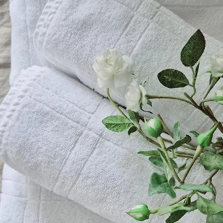 Levin Lumienkeli A6 Levi