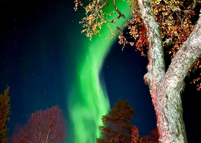 Apartamento Levin Lumienkeli A6 *