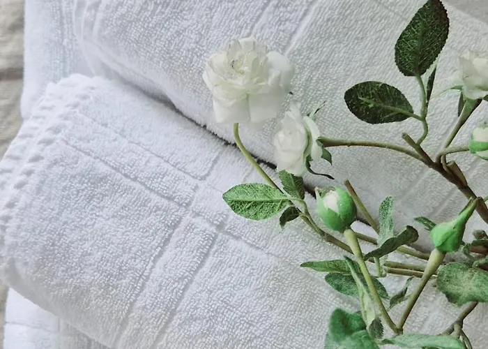 Levin Lumienkeli A6 Levi